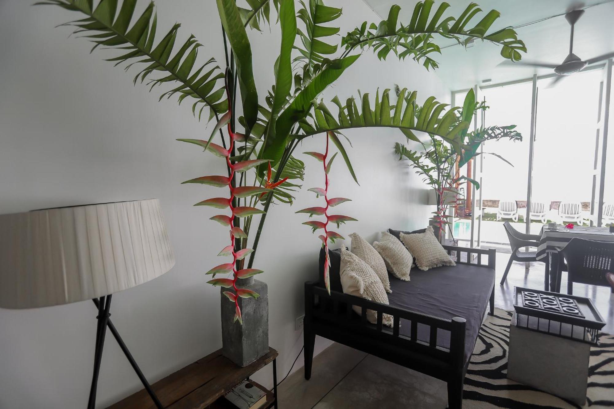 Bieshu Beach Hive Habaraduwa Central 외부 사진
